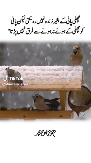 Princess Cinderella (@princess.cinderel20)’s videos with original sound - 𝐀𝐂𝐂𝐎𝐔𝐍𝐓 𝐅𝐎𝐑 𝐒𝐄𝐋𝐋