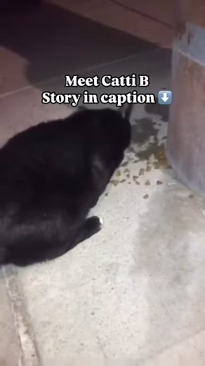 4.7K views · 225 reactions | Catti B is in the building! This street...