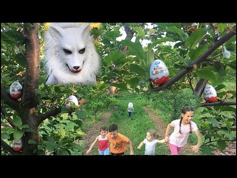 Kinder Jaja i Vuk ★ Deciji Igrani Film★