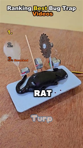 Ranking Best Bug Trap Videos
