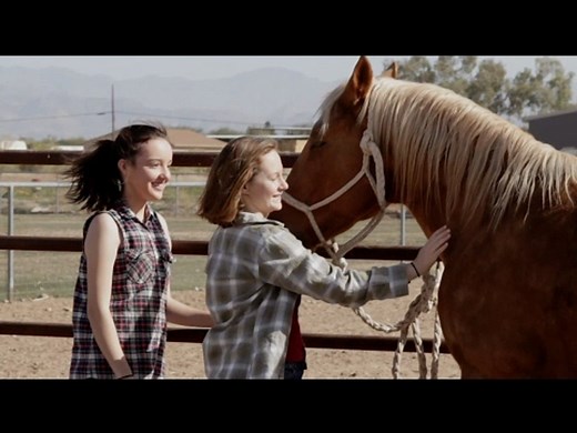 Le Ranch du Bonheur (2013) film complet en français