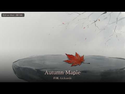 Autumn Maple | Zen Lofi for Warm Focus