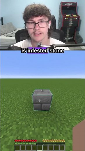 Minecraft Block Reviews: Infested Stone Bricks