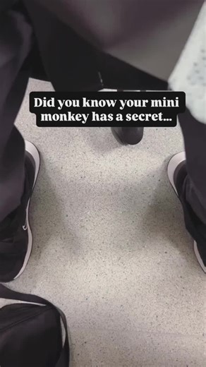 Discover the Benefits of Mini Monkey Baby Carriers