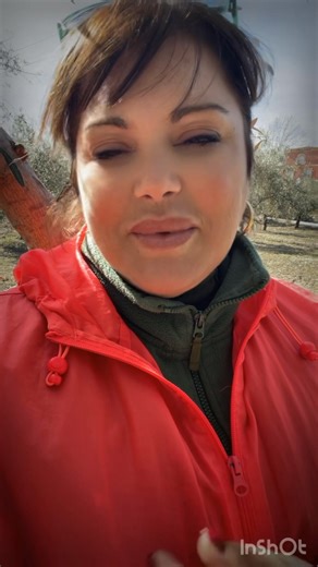 ✨ Polifenoles en AOVE: el secreto mejor guardado del oro líquido ✨No es solo aceite. Es salud en estado puro.El AOVE es una fuente natural de polifenoles, potentes antioxidantes que ayudan a proteger tu corazón y combatir la inflamación 💚Porque cuando eliges un buen aceite de oliva virgen extra, eliges bienestar. #AOVE #Polifenoles #SaludNatural #DietaMediterránea | Pilar Cano Peña