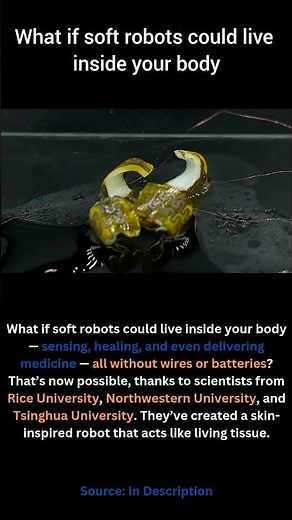 Soft Robots That Heal and Feel Inside the Human Body! 🤖🩹