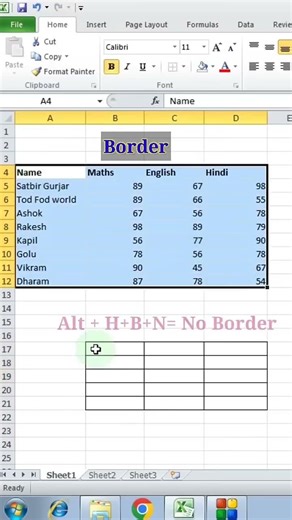 Add Remove Border in Excel Excel Tips Tricks todfodeducation #windows #computer #excel