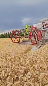 Columbus Claas, the vintage tractor legend 🌾🎩🌾 #machine #agriculture #fendt #truck #farmer #CLAAS #tractor #farmlife #farming | Agri Vibeviral