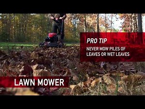Five ways to clean up leaves from your yard this season | Right In Your Backyard | Troy-Bilt