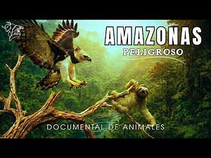 AMAZONAS SALVAJE | Las Criaturas Más Letales en el Corazón de la Selva | Documental de animales