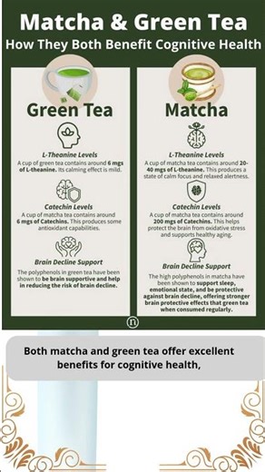 matcha and green tea how they both benefit cognitive health