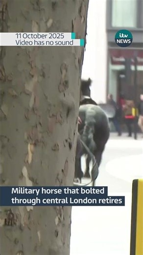 Military horse that bolted through central London retires #itvnews #london #shorts