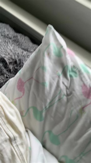 Snowy day, ASMR #fyp #asmr #snow #firstsnow #happy