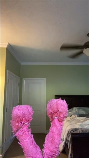 elmo world feet intro