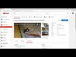 Creative Commons Attribution Licence in YouTube | How and Who can use CC Video