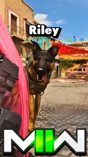 MW2 - Riley Finishing Moves 👀 (SYD Tactical Pet) | LegoUnlocked