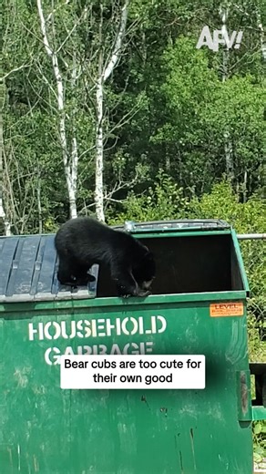 America's Funniest Home Videos on Instagram: "Cue the "if not friend then why friend shaped" comments 🧸 #afv #funny"