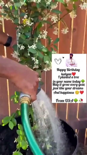 The Greenest Birthday Gift 5 🌳✨ #HBDKalyanPadala #kalyanpadala #kalyanfans #trending #green