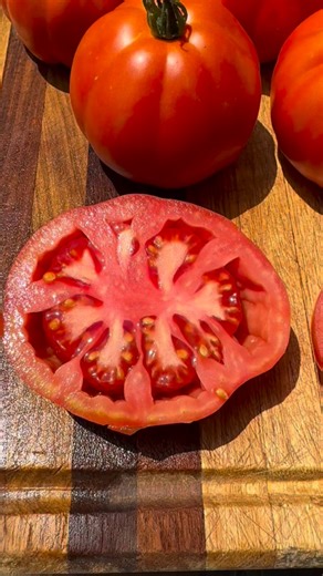 Italian Assisi Tomato 🍅🇮🇹 ~ Add this delicious heirloom to your grow list! Here’s the story. ⬇️ ~ This rare heirloom variety from Assisi, Italy has a rich sweet umami flavor and hints of minerals. The glorious lobes of this medium sized tomato make it aesthetically unique and the plants are very productive. The meaty flesh make this a great variety for salads and sandwiches and the shape makes it a great variety to stuff too. The color of the fruits is generally solid red though the occasiona