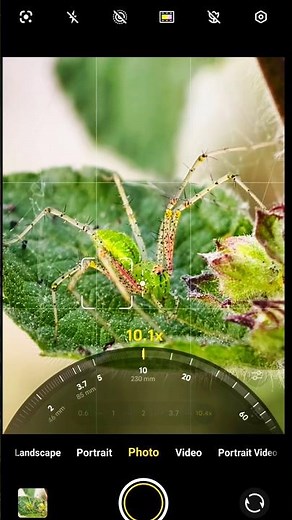 Vivo X300 Pro photography test camera testing The Best Phone for Macro Photography super zoom #vivo