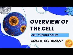 An Overview of Cell | Cell: The Unit of Life | Class 11 Biology | NEET