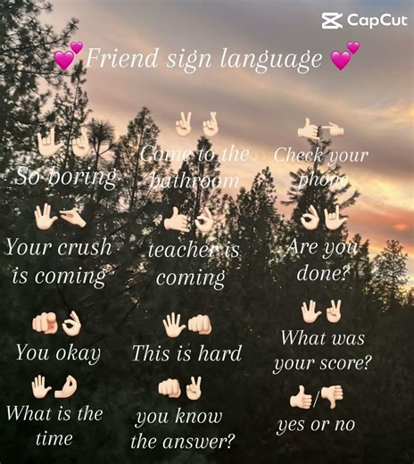 FRIEND SIGN LANGUAGE not real sign language