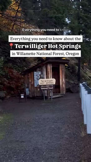 ALEXA RAE | Travel Nurse Adventures on Instagram: "Everything you need to know for Terwilliger (Cougar) Hot Springs! It’s hot spring season!! ✨ Comment “BLOG” below if you want the link to other things to do while in the area! 📍 Willamette National Forest 🎟️ $10 per person, anyone 10+ w/ a limit of 50 people at a time, first come, first serve! Personally, I wouldn’t want to go if it’s more than 20 people. 🚫 No dogs or pets 🪨 Rocky, muddy, uneven surface w/ stairs so shoes w/ good grip is rec