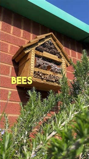Why you need a bee hotel