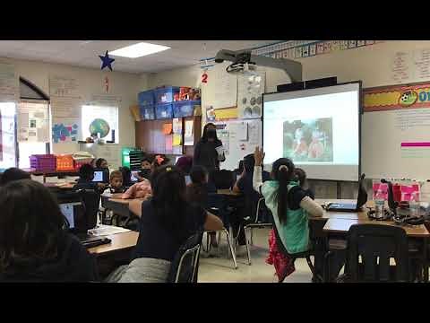 3rd Grade Amplify Model Lesson