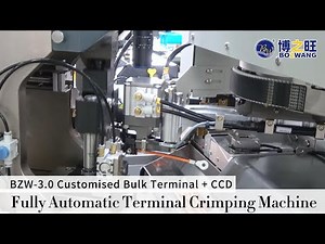 BZW-3.0 Customised Bulk Terminal + CCD Fully Automatic Terminal Crimping Machine