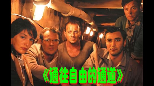 2K 超清 《通往自由的通道》完整版，豆瓣8.3分，真实事件改编，德国本土冷战题材的电影，一群东柏林市民为了自由，逃往西柏林的传奇故事