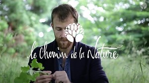 773 reactions · 96 shares |  Découvrez toutes nos formations pour apprendre à cueillir et utiliser des plantes sauvages comestibles et médicinales comme le pissenlit, la camomille, la bardane…  | Le Chemin de la Nature | Facebook