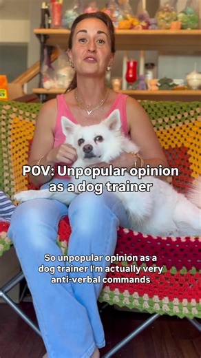 Unpopular opinion as a dog trainer: Before puppies understand words, they understand pictures. 🐾👀 Situational awareness starts long before fluent verbal commands ever land. In the early stages, we focus on what the puppy sees and feels—body position, hand signals, movement, and environmental context—because visual cues are clearer and more natural for a developing brain. Verbal cues come later, once understanding is built. First we show, then we name. That foundation creates calmer, more confi