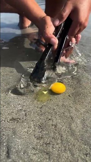 Catching Fish with an Egg! 🥚🐟