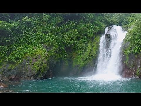 The Legend of Tarzan: Swing Among the Trees (360 Video)
