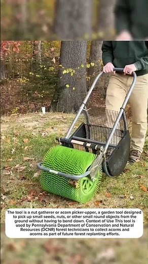 manual tool for collecting plant seeds#shortvideos #machinetechnology