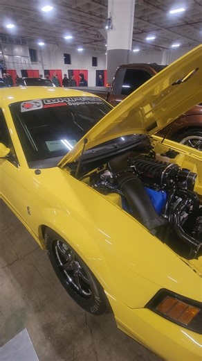 Whipple supercharged mustang cobra#supercharged