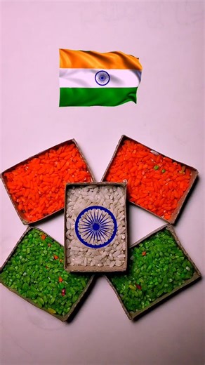 Amazing Rice Flag Art 🇮🇳✨ #viralshorts #india #drawing