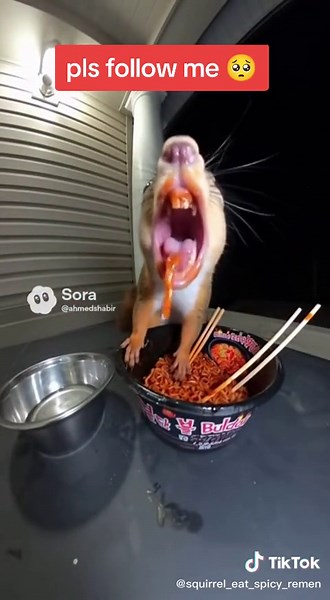 hungry squirrel eat world spiciest noddles and go wild😜 . Part 24 . . #viral #trending #fyp #soraai #animals