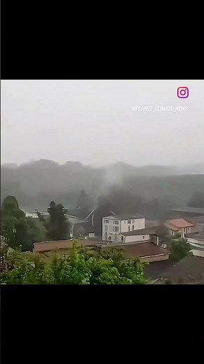 Dramatic footage of lightning striking a tree