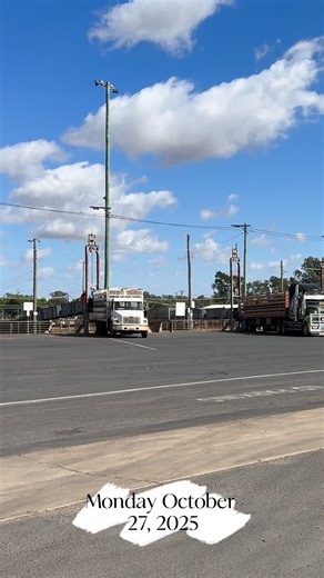 Dubbo Regional Livestock Markets on Reels