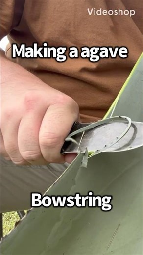 Making a primitive bowstring from agave #primitivebow #primitiveskills #archery #bowhunting #hunting