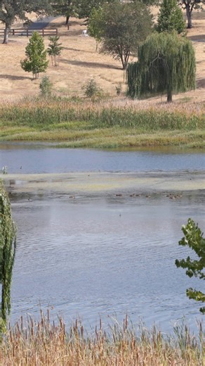 Six family friendly trails in Redding for biking, hiking and cycling