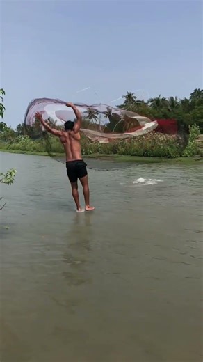 Amazing Castnet catching a big fish by a jumping tree in River #bigfishvideos #fishing #foryou