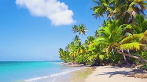 Palm trees and tropical vegetation on the coast, paradise sandy beach and turquoise waters of the Indian Ocean. Romantic sea bay with blue water. Luxurious touristic idyllic nature landscape.