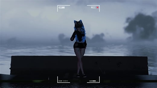 Mastering Animation and Dance in VRChat