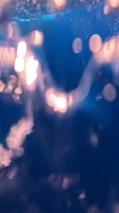 A minutes old humpback whale baby 🐋 We had been watching this competition group all day, tracking through tails and the female’s dorsal fin (it was very unique). On our last, and roughest trip of course, we came upon this competition group again and immediately recognized the dorsal from our competition group on our previous two trips. Very shortly after, with the males all popping up to the surface and still swimming around, there was a big plume of reddish brown in the water. Poop? Blood? A b