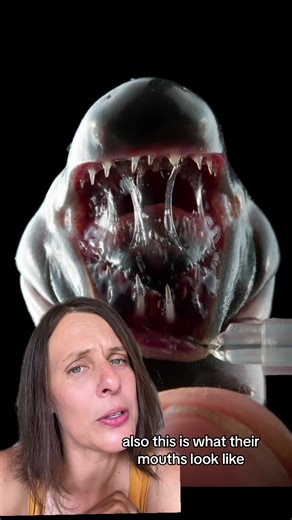 An amphibian feeding its babies milk from its butt? Nature is amazing! See the paper here: https://www.nature.com/articles/d41586-024-00686-5#ref-CR1 #nature #amphibian #offspring