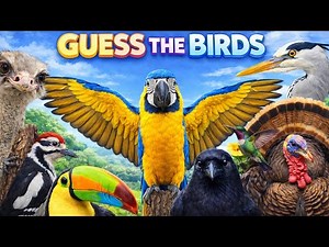 Guess the Animal 🐦 | Fun Bird Quiz for Kids | Learn Bird Names | fun learning video