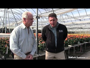 Fogging Insect Control with AzaGuard